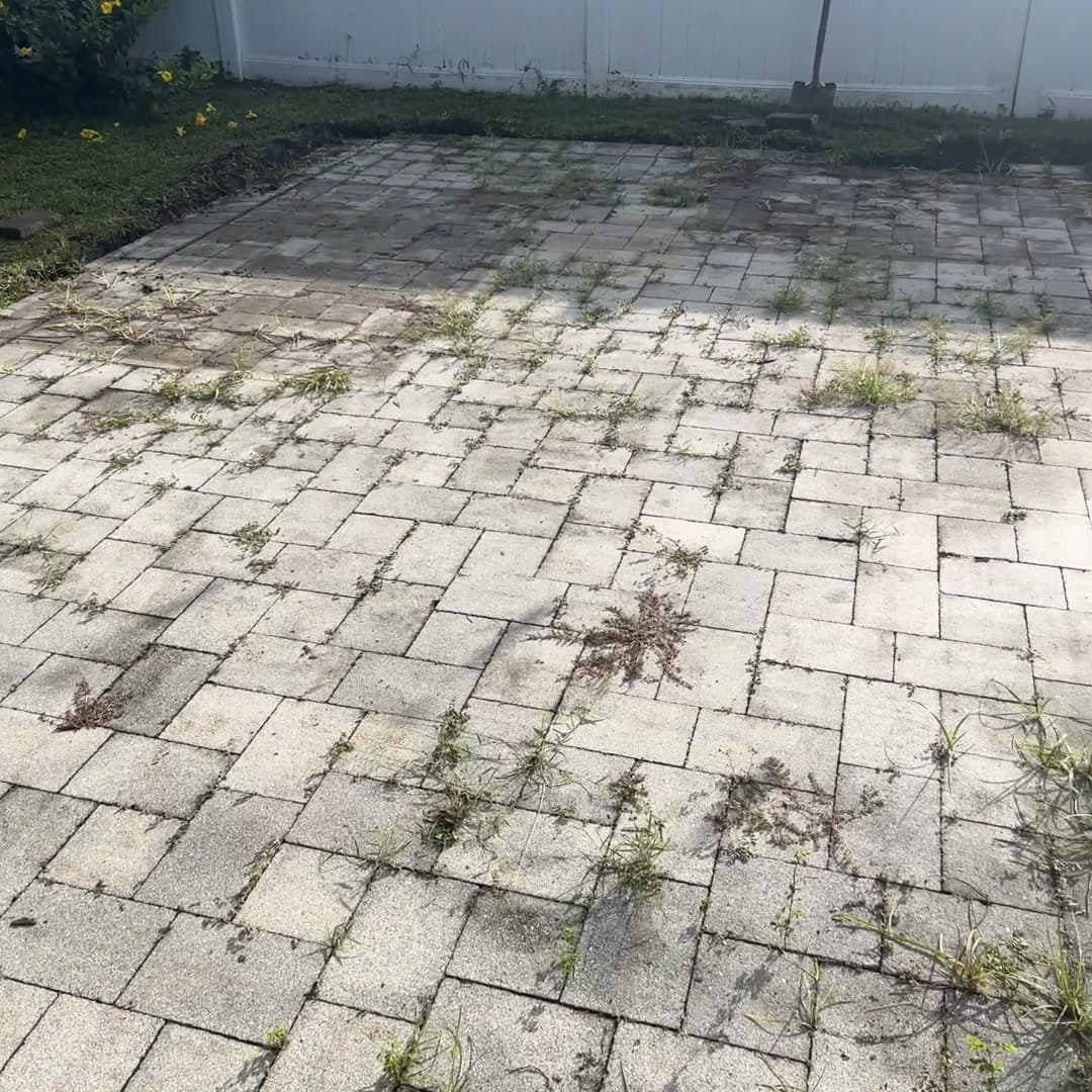Before: the whole patio field, joints washed out and weedy
