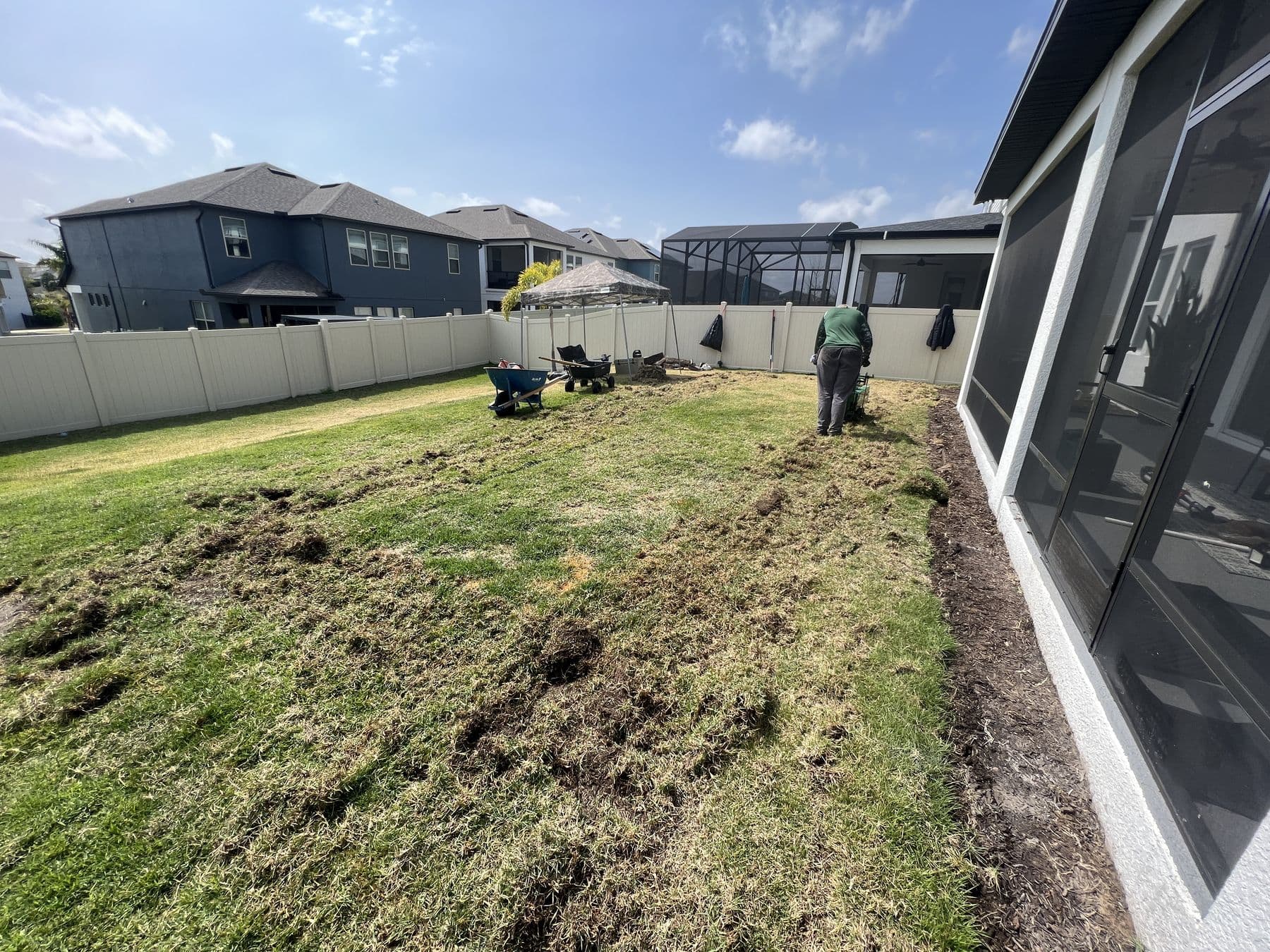 Back yard before work: turf being stripped in strips beside the screen enclosure, wheelbarrows on the grass
